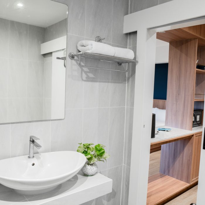 Bathroom DLX