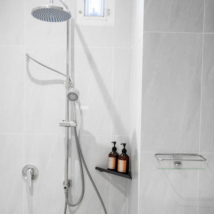 Bathroom DLX1